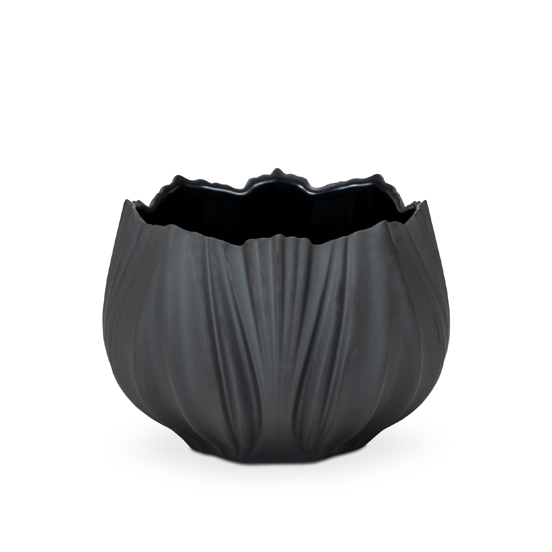 CORAL NEVE NOIR PETITE